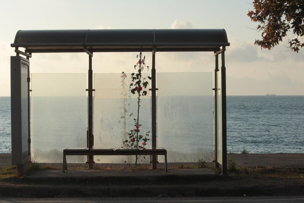 Photographie d’art humaniste contemporaine de Magali Sacau représentant un arrêt de bus devant la mer Noire, un cargo au loin.Une rose trémière pousse derrière le banc symbolisant le renouveau. C'est la nature dans l'urbain, la vie qui se déploie partout même là où on ne l'attend pas. Cette oeuvre de Street photography est une allégorie de la vie et de la force de la nature dans le monde moderne. Cette œuvre photographique poétique, à vendre en tirage d'art en édition limitée signé de l'auteur, touchera le cœur des rêveurs. Une photographie d’art prise sur la côte turque, idéale pour la décoration murale d'un intérieur élégant ou pour une entreprise. Cette photographie est à vendre que ce soit pour un investissement artistique ou une exposition en galerie d’art contemporaine.