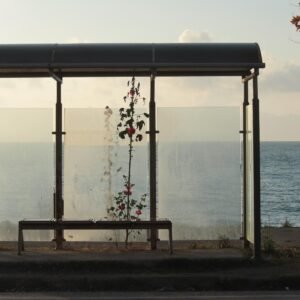 Photographie d’art humaniste contemporaine de Magali Sacau représentant un arrêt de bus devant la mer Noire, un cargo au loin.Une rose trémière pousse derrière le banc symbolisant le renouveau. C'est la nature dans l'urbain, la vie qui se déploie partout même là où on ne l'attend pas. Cette oeuvre de Street photography est une allégorie de la vie et de la force de la nature dans le monde moderne. Cette œuvre photographique poétique, à vendre en tirage d'art en édition limitée signé de l'auteur, touchera le cœur des rêveurs. Une photographie d’art prise sur la côte turque, idéale pour la décoration murale d'un intérieur élégant ou pour une entreprise. Cette photographie est à vendre que ce soit pour un investissement artistique ou une exposition en galerie d’art contemporaine.
